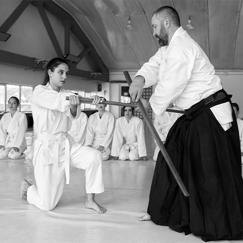 Offensive Weapons in a Private Place & Your Home